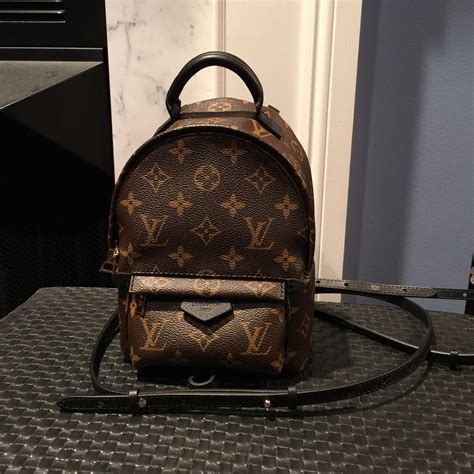 louis vuitton palm springs back pack